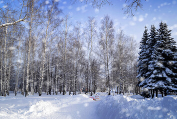 Magical winter landscape.