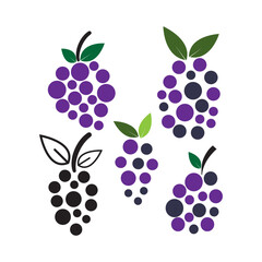 grape fruit icon