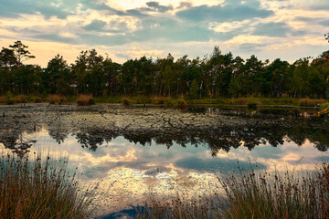Lüneburger Heide