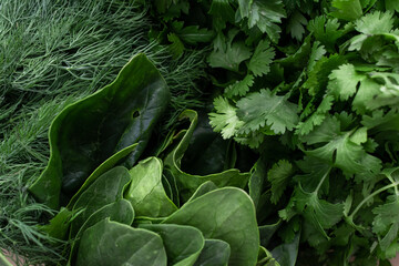 Autumn harvest. Greens and vegetables frame. to cook. Grocery background. Health food. Vegetarian. View from above. Place for text.