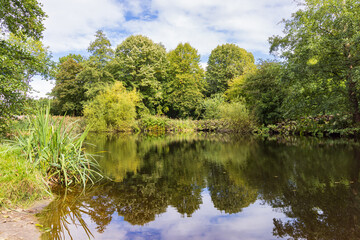 Trees reflected in pond in Johan Smitpark in Zuidhorn, municipality Westerkwartier Groningen province in the Netherlands