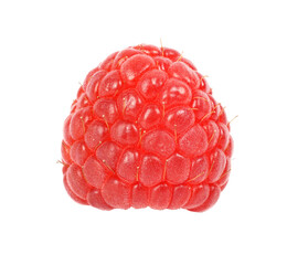 Raspberry isolated on transparent background with PNG.
