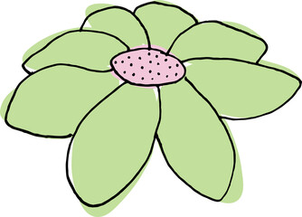 green flower isolated