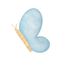 Blue butterfly watercolor illustration  isolated on white