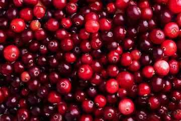 Background fresh red cranberry berries close-up.