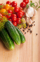 fresh cucumbers, tomatoes of cherry and fennel branch