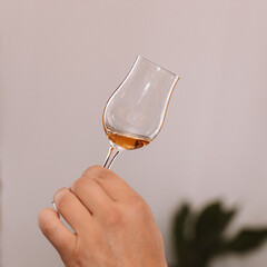 Glass of cognac held in hand at a presentation of selected drinks with friends and lovers of strong drinks.