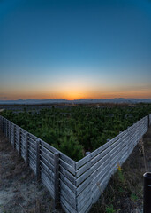 Obraz premium 植栽と夕暮れの空