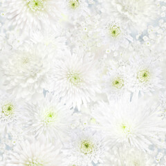 Chrysanthemum and Gypsophila white flower seamless romantic background