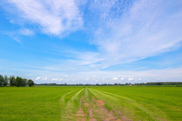 Farmland At Abcoude The Netherlands 17-6-2020