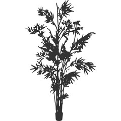 Bamboo Vintage Illustration Vector