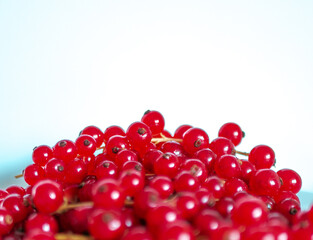 A bunch of red currants on a white background