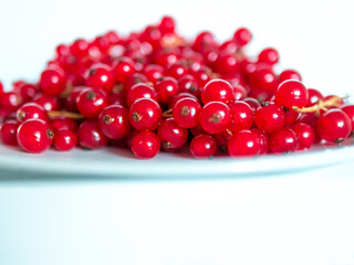 A bunch of red currants on a white background