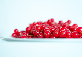 A bunch of red currants on a white background