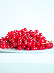 A bunch of red currants on a white background