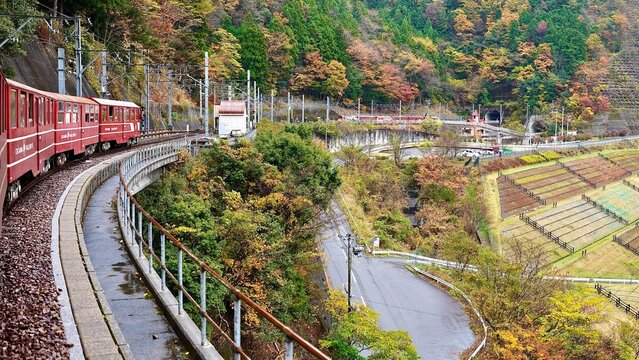 大井川鐵道あぷとラインから見える紅葉と川