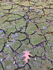 sequía tierra seca agietada pantano seco con poca agua riachuelo país vasco IMG_8845-as2
