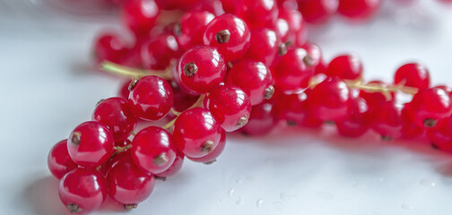 Group of red and wet currants on a white background