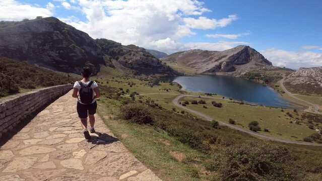 Hiking in Lagos de Covadonga or Covadonga Lakes, surrounded by mountains, lakes and cows, in Spain.