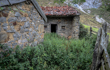 abandoned house weeds mountain