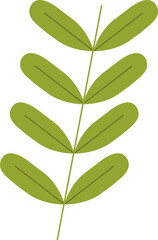 Decorative plant drawing 