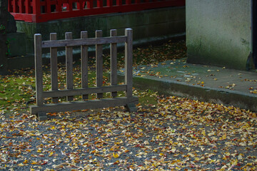 東京赤坂にある氷川神社の落ち葉の風景