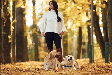 Standing and posing. Woman on the walk with her two dogs in the autumn forest