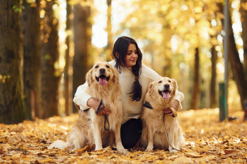 Sitting on the ground and embracing the animals. Woman on the walk with her two dogs in the autumn forest
