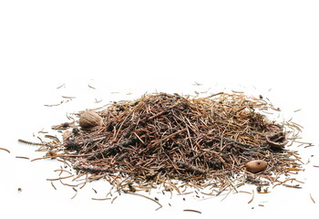 Pile yellow conifer leaves, tree needles isolated on white