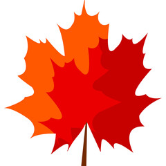 Maple leaf