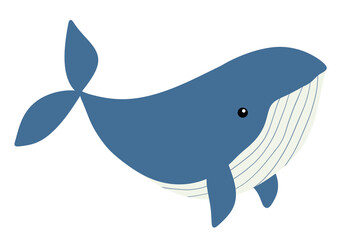 Cute Whale