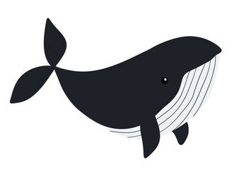 Cute Whale