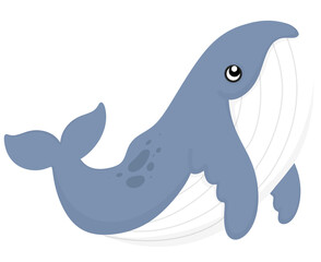 Cute Whale