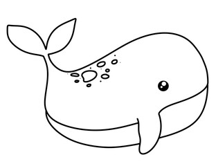 Whale Outline