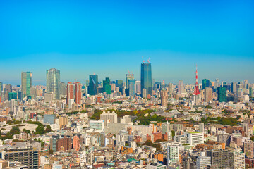 Fototapeta premium Tokyo City Panorama View Japan