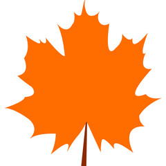Maple leaf