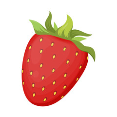 Vector illustration of ripe strawberries isolated on a white background.