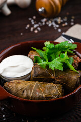 Georgian dish Dolma rolls of grape leaves with rice, beef and sour cream.
