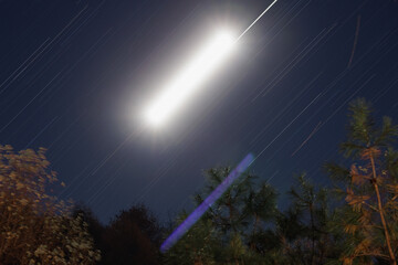Moonrise star-trails in the forest