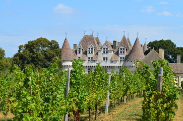 Fototapeta na wymiar Monbazillac (Dordogne - Nouvelle-Aquitaine - France) 