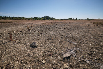 Greenham Common Drought 3