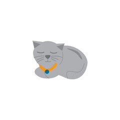 Cartoon Cat grey happy cute animal  vector isolated symbol illustration on white background.