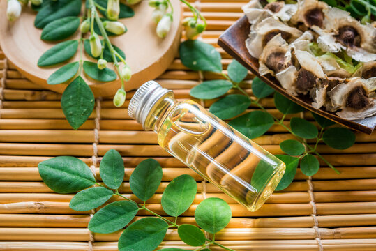 Moringa Oil and seeds, The seeds of the Moringa tree are pressed oil known as Ben Oil yellow