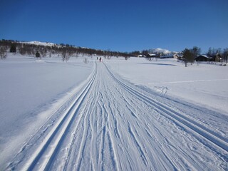 Fototapeta na wymiar Scenic winter landscape in Rauland, Norway, with cross-country skiing track on a beautiful cold sunny day with blue sky
