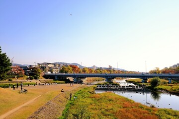橋，黃葉，秋，紅葉，京都，日本，水の波，風景, 旅行, 建築, 自然, 木, 背景, 黄色, 庭, 光
