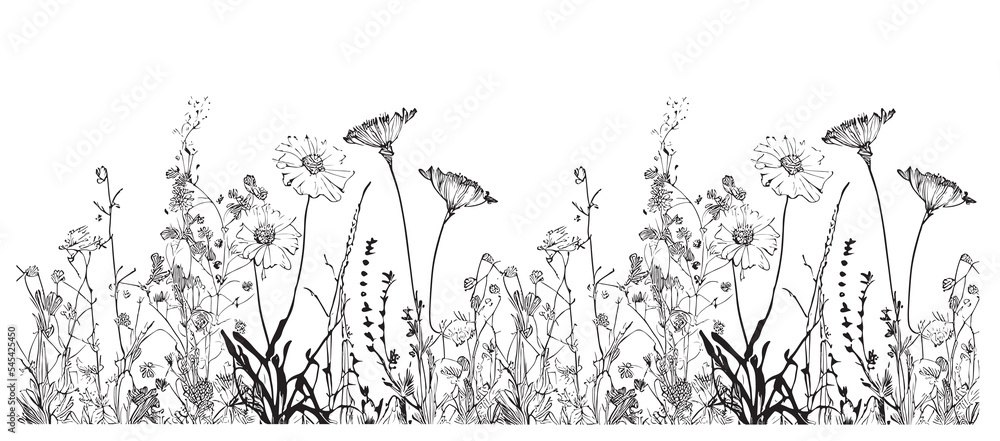 Canvas Prints Wild flowers in the field border sketch hand drawn Vector illustration.