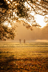 Paar mit Hund macht Spaziergang im Herbst am frühen Morgen im Park auf Wiese mit Nebel zum Sonnenaufgang
