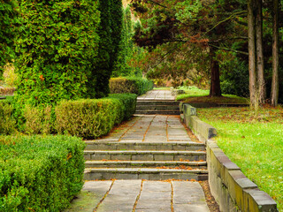 Walkway of concrete slabs among thuja and pine trees
