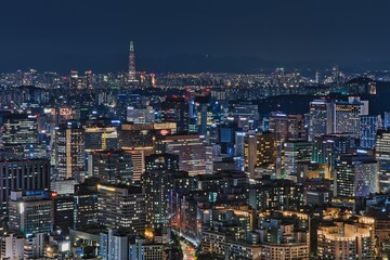 Fototapeta na wymiar Nightcap of Seoul, South Korea