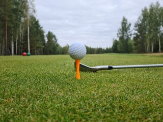 Golf club and ball in grass concept